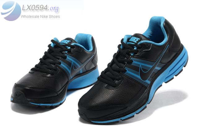 Nike Air Pegasus 29
