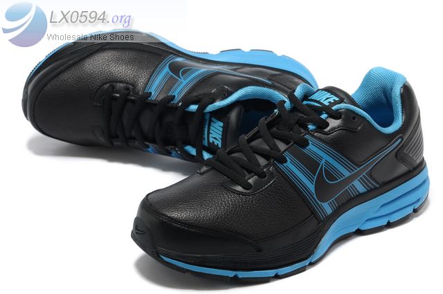 Nike Air Pegasus Blue