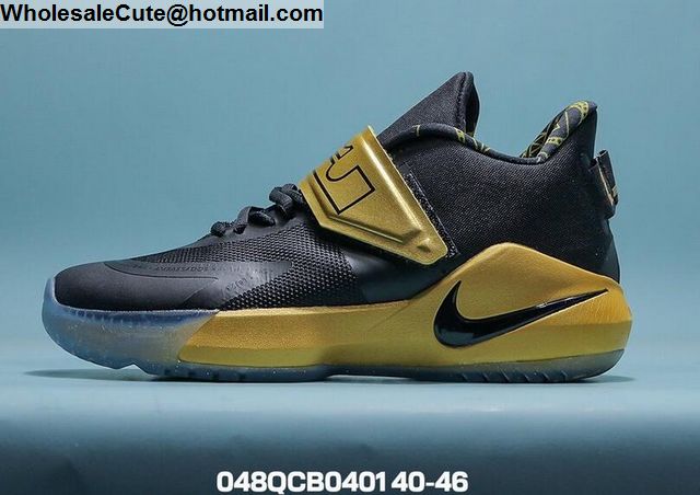 nike lebron ambassador xii