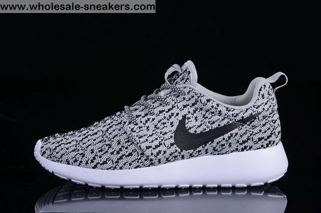 Nike Yeezy Boost 350 Roshe Run