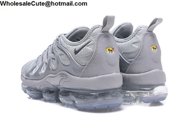 Nike Air Vapormax Plus Silver