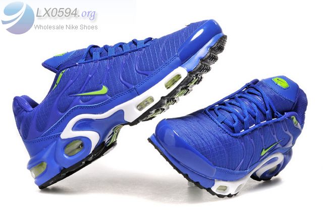 Nike Air Max Plus Blue