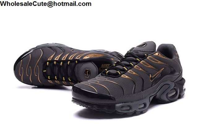 Nike Air Max Plus Grey Gold