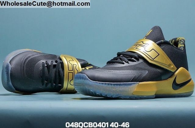 nike lebron ambassador xii