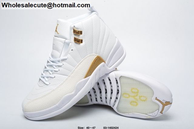 Air Jordan 12 OVO