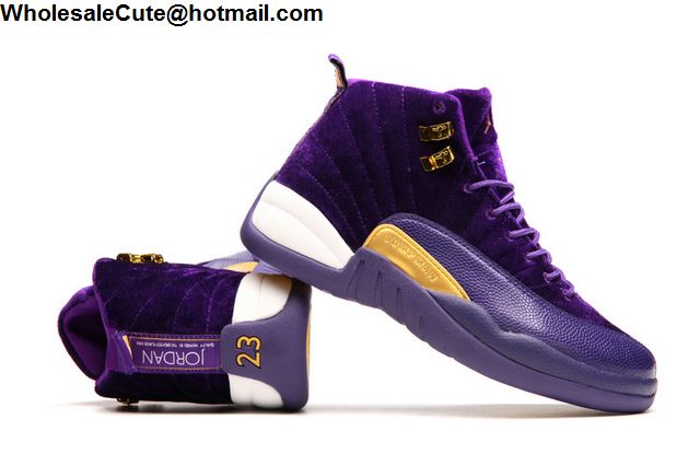 Air Jordan 12 Purple