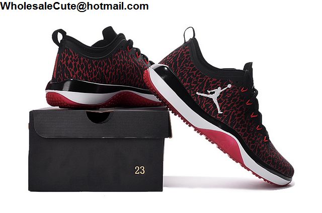Air Jordan Trainer 1 Low