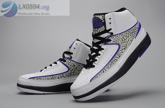Jordan 2 Dark Concord