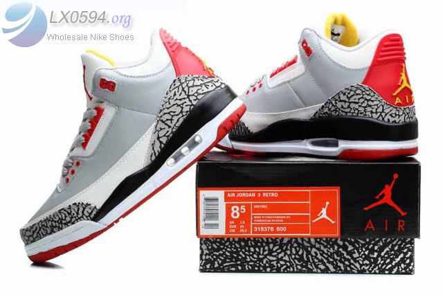 Solefly X Jordan 3