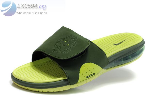 Nike Lebron Slide