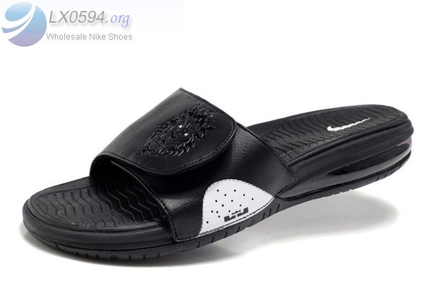 Nike Lebron Slide